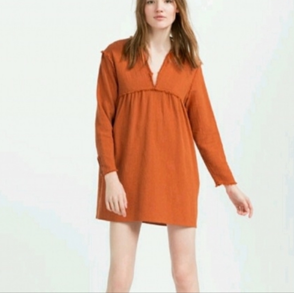 Zara Babydoll Long Sleeve Mini Dress